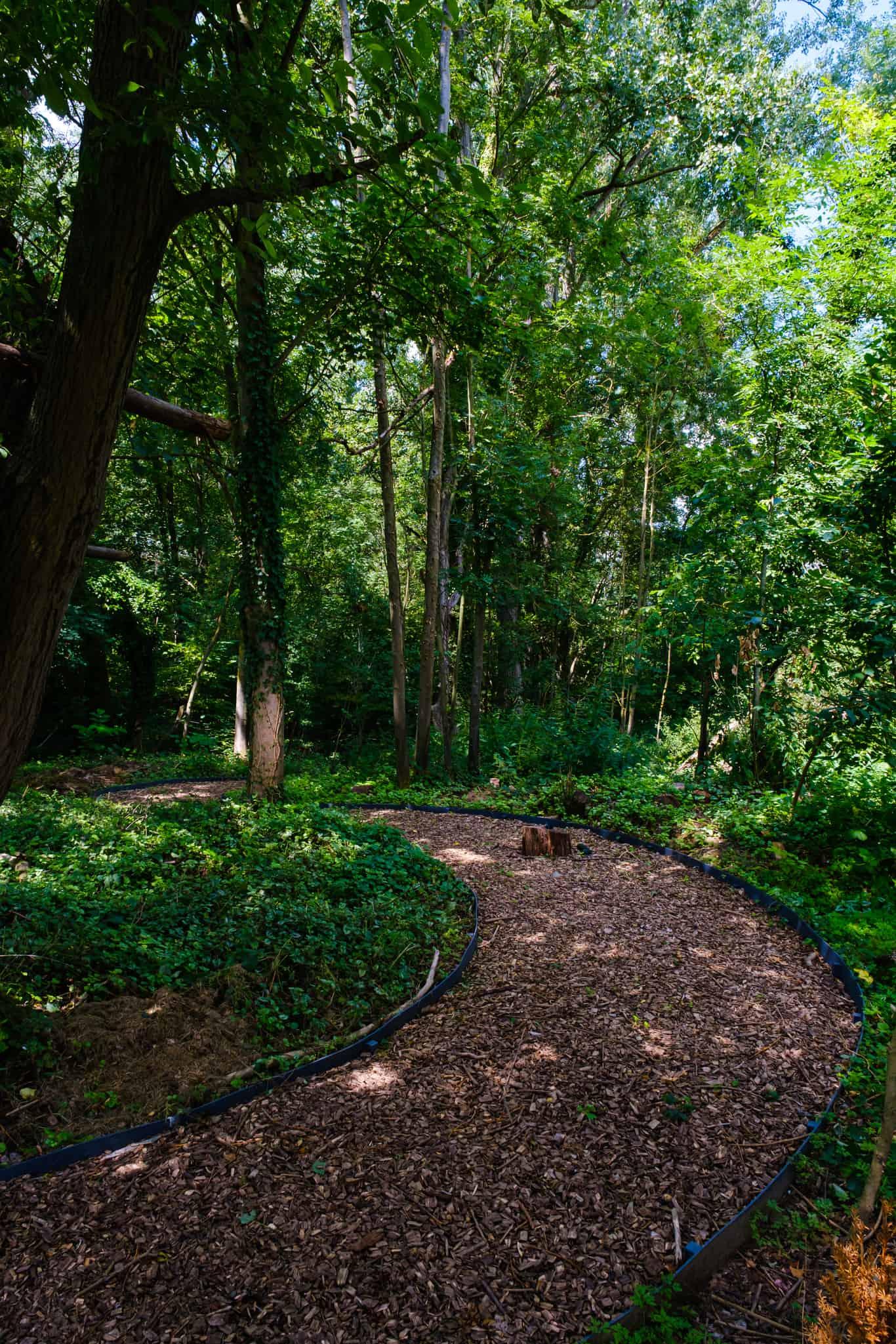 Het pad slingert mooi verder naar het bosgedeelte vanachter in de tuin. Een nieuwe beleving voor wie graag geniet van de rust en de prachtige bomen.nn